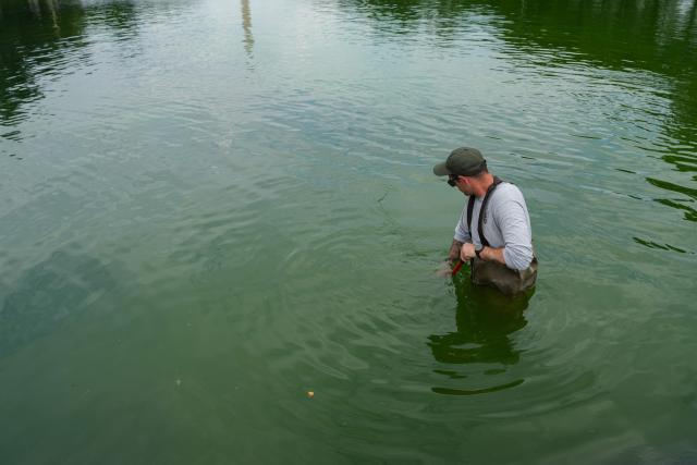National Park Service workers push algae towards an aeration area in the center of the Lincoln Memorial Reflecting Pool following the completion of recent renovations in Washington, DC, on June 14, 2026. The reflecting pool project, undertaken as part of President Donald Trump’s preparations for the nation’s 250th anniversary, began in April and was completed last week. (Photo by Ken CEDENO / AFP)
