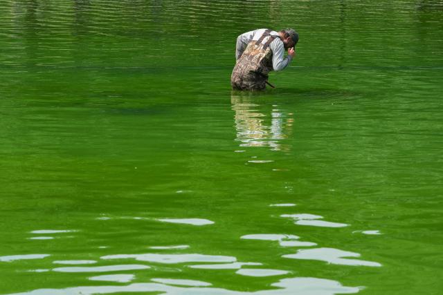 National Park Service workers push algae towards an aeration area in the center of the Lincoln Memorial Reflecting Pool following the completion of recent renovations in Washington, DC, on June 14, 2026. The reflecting pool project, undertaken as part of President Donald Trump’s preparations for the nation’s 250th anniversary, began in April and was completed last week. (Photo by Ken CEDENO / AFP)