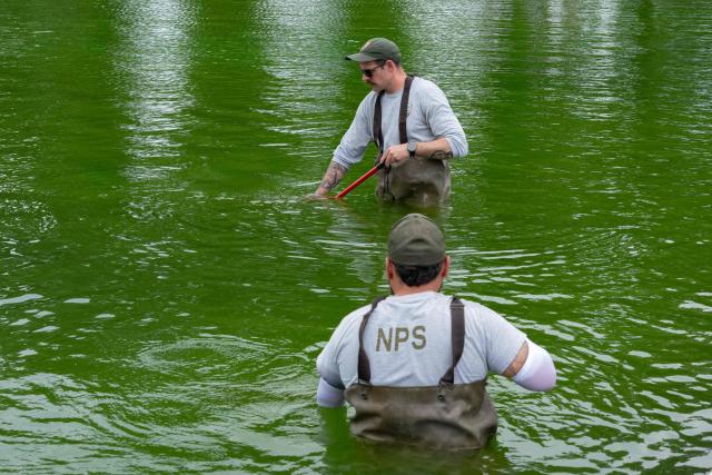 National Park Service workers push algae towards an aeration area in the center of the Lincoln Memorial Reflecting Pool following the completion of recent renovations in Washington, DC, on June 14, 2026. The reflecting pool project, undertaken as part of President Donald Trump’s preparations for the nation’s 250th anniversary, began in April and was completed last week. (Photo by Ken CEDENO / AFP)