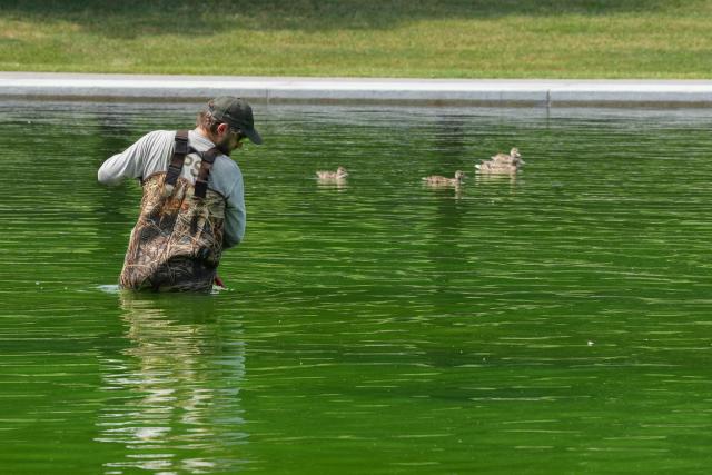 National Park Service workers push algae towards an aeration area in the center of the Lincoln Memorial Reflecting Pool following the completion of recent renovations in Washington, DC, on June 14, 2026. The reflecting pool project, undertaken as part of President Donald Trump’s preparations for the nation’s 250th anniversary, began in April and was completed last week. (Photo by Ken CEDENO / AFP)
