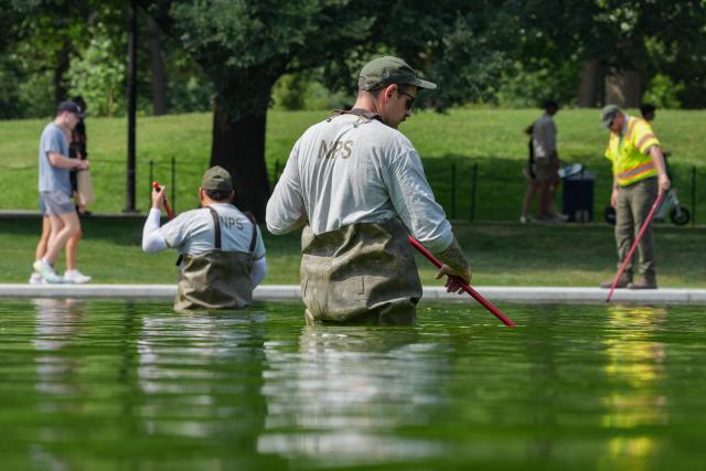 National Park Service workers push algae towards an aeration area in the center of the Lincoln Memorial Reflecting Pool following the completion of recent renovations in Washington, DC, on June 14, 2026. The reflecting pool project, undertaken as part of President Donald Trump’s preparations for the nation’s 250th anniversary, began in April and was completed last week. (Photo by Ken CEDENO / AFP)