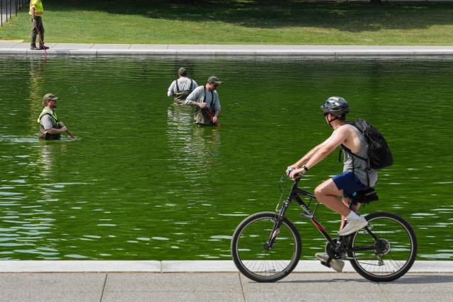 National Park Service workers push algae towards an aeration area in the center of the Lincoln Memorial Reflecting Pool following the completion of recent renovations in Washington, DC, on June 14, 2026. The reflecting pool project, undertaken as part of President Donald Trump’s preparations for the nation’s 250th anniversary, began in April and was completed last week. (Photo by Ken CEDENO / AFP)