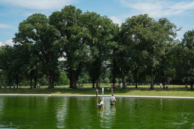 National Park Service workers push algae towards an aeration area in the center of the Lincoln Memorial Reflecting Pool following the completion of recent renovations in Washington, DC, on June 14, 2026. The reflecting pool project, undertaken as part of President Donald Trump’s preparations for the nation’s 250th anniversary, began in April and was completed last week. (Photo by Ken CEDENO / AFP)