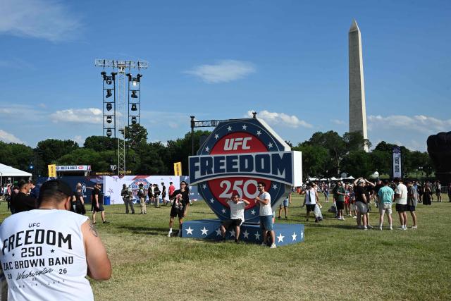 Fans attend the UFC Freedom 250 Fan Fest on The Ellipse ahead of the "UFC Freedom 250" mixed martial arts event tonight on the South Lawn of the White House in Washington, DC, June 14, 2026. (Photo by Alex WROBLEWSKI / AFP)