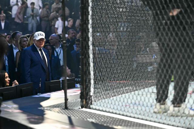 US President Donald Trump looks on at the conclusion of the "UFC Freedom 250" mixed martial arts event on the South Lawn of the White House in Washington, DC, in the early morning hours of June 15, 2026. (Photo by Kent NISHIMURA / AFP)