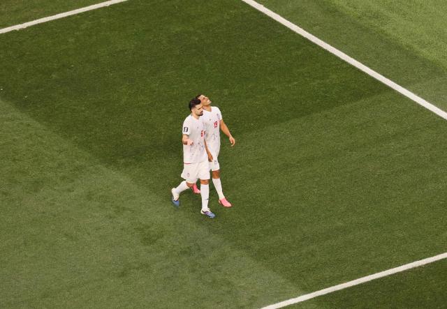Iran's defender #19 Ali Nemati (R) and Iran's midfielder #06 Saeid Ezatolahi (L) react after a goal which was later disallowed for offside during the 2026 World Cup Group G football match between Iran and New Zealand at Los Angeles Stadium in Inglewood on June 15, 2026.  (Photo by Etienne Laurent / AFP)
