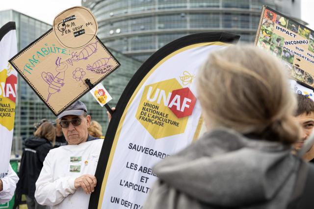 A demonstrator holds a placard reading "Tracability - I don't want GMOs" as protestors gather in front of the European Parliament during a demonstration to call MEPs to vote against a proposal to deregulate genetically modified organisms, in Strasbourg, eastern France on June 16, 2026. (Photo by ROMEO BOETZLE / AFP)