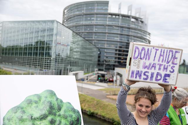 A demonstrator holds a placard reading "Don't hide what's inside" as protestors gather in front of the European Parliament during a demonstration to call MEPs to vote against a proposal to deregulate genetically modified organisms, in Strasbourg, eastern France on June 16, 2026. (Photo by ROMEO BOETZLE / AFP)