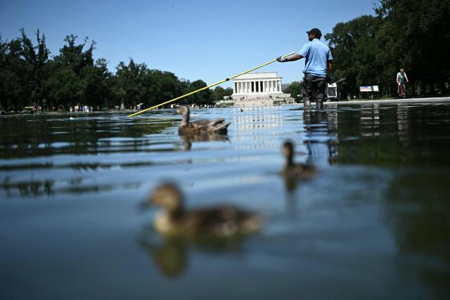 National Park Service workers push algae toward an aeration area in the center of the Lincoln Memorial Reflecting Pool as ducks swim nearby following the completion of recent renovations in Washington, DC, on June 16, 2026. The reflecting pool project, undertaken as part of President Donald Trump’s preparations for the nation’s 250th anniversary, began in April and was completed last week. (Photo by Brendan SMIALOWSKI / AFP)
