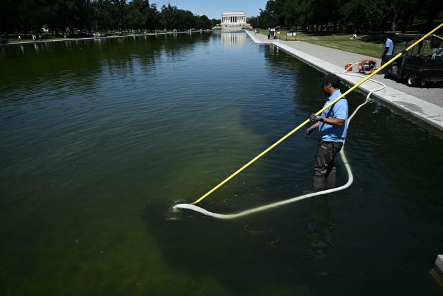 National Park Service workers push algae towards an aeration area in the center of the Lincoln Memorial Reflecting Pool following the completion of recent renovations in Washington, DC, on June 16, 2026. The reflecting pool project, undertaken as part of President Donald Trump’s preparations for the nation’s 250th anniversary, began in April and was completed last week. (Photo by Brendan SMIALOWSKI / AFP)