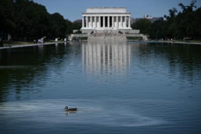 A duck swim on the Lincoln Memorial Reflecting Pool following the completion of recent renovations in Washington, DC, on June 16, 2026. The reflecting pool project, undertaken as part of President Donald Trump’s preparations for the nation’s 250th anniversary, began in April and was completed last week. (Photo by Brendan SMIALOWSKI / AFP)