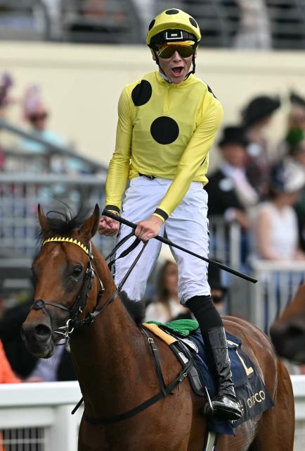 Jockey Billy Loughnane celebrates on Bow Echo after winning the St James's Palace Stakes horse race on the first day of the Royal Ascot horse racing meeting in Ascot, west of London, on June 16, 2026. (Photo by JUSTIN TALLIS / AFP)