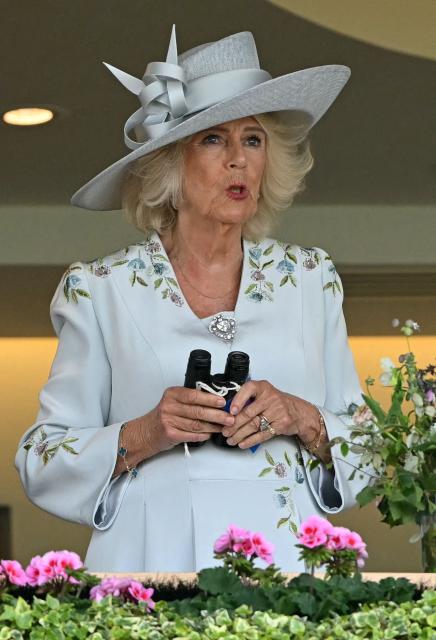 Britain's Queen Camilla waits for the Ascot Stakes horse race to commence on the first day of the Royal Ascot horse racing meeting in Ascot, west of London, on June 16, 2026. (Photo by JUSTIN TALLIS / AFP)