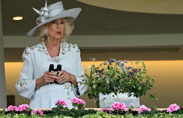 Britain's Queen Camilla waits for the Ascot Stakes horse race to commence on the first day of the Royal Ascot horse racing meeting in Ascot, west of London, on June 16, 2026. (Photo by JUSTIN TALLIS / AFP)