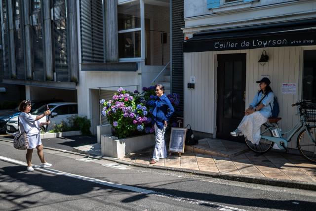 People gather in front of a wine shop posing next to the blooming hydrangeas in Tokyo's Bunkyo district on June 17, 2026. (Photo by Philip FONG / AFP)