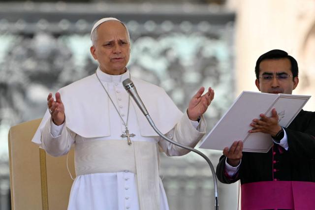 Pope Leo XIV addresses the crowd during the weekly general audience at St Peter's Square in The Vatican on June 17, 2026. (Photo by Andreas SOLARO / AFP)