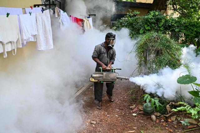 A municipal worker fumigates a residential area during a nationwide dengue prevention campaign in Colombo on June 17, 2026. (Photo by Ishara S. KODIKARA / AFP)