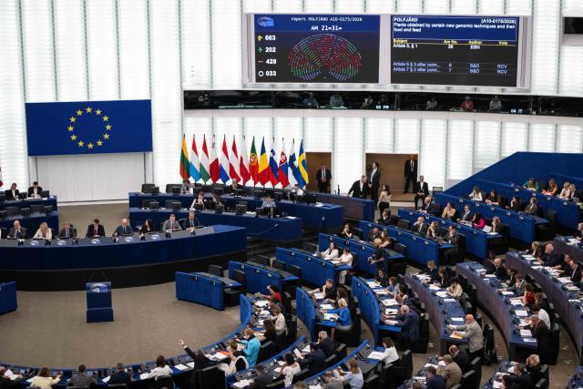 Members of European Parliament vote the "Plants obtained by certain new genomic techniques and their food and feed" at the European Parliament in Strasbourg, eastern France, on June 17, 2026. (Photo by SEBASTIEN BOZON / AFP)