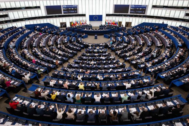 Members of the European Parliament vote on the proposal entitled “Plants obtained by certain new genomic techniques and their food and feed” at the European Parliament in Strasbourg, eastern France, on June 17, 2026. (Photo by SEBASTIEN BOZON / AFP)