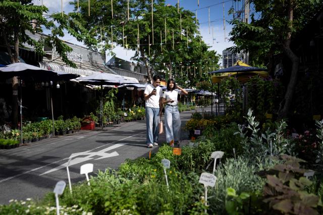 People look at ornamental plants for sale at Chatuchak Market in Bangkok on June 17, 2026. (Photo by Lillian SUWANRUMPHA / AFP)