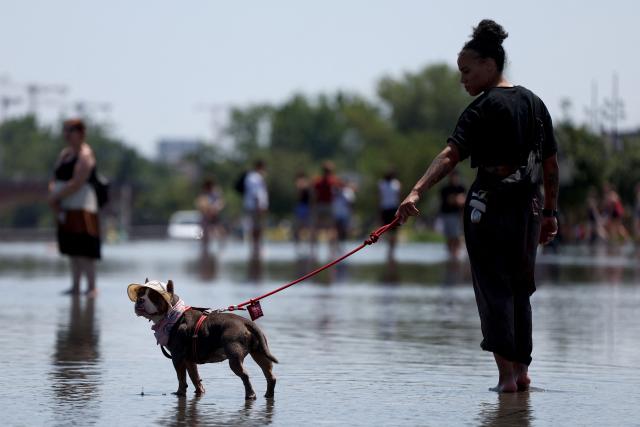 A woman with her dog cools off in a reflecting pool in Bordeaux, south-western France, on June 17, 2026. A heatwave will hit France on June 17, 2026 and last for several days, right in the middle of the baccalaureate exams, with temperatures that could reach up to 40°C in some areas on June 21, the first day of summer. (Photo by ROMAIN PERROCHEAU / AFP)