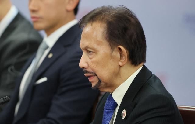 Brunei's Sultan Hassanal Bolkiah attends a meeting with Russia's President on the sidelines of the Russia-ASEAN summit, which commemorates 35 years of collaboration between Russia and the ASEAN countries, in the central Russian city of Kazan, around 700 kilometres (435 miles) east of the capital Moscow, on June 17, 2026. (Photo by Anastasia Barashkova / POOL / AFP)