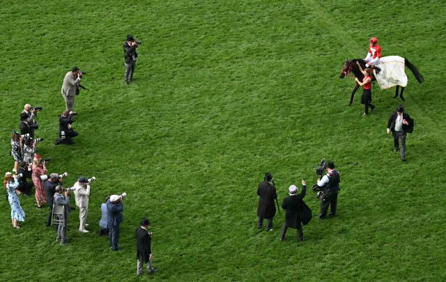 Jockey Harry Davies celebrates on Rogue Diplomat after riding to win the Royal Hunt Cup horse race on the second day of the Royal Ascot horse racing meeting in Ascot, west of London, on June 17, 2026. (Photo by JUSTIN TALLIS / AFP)