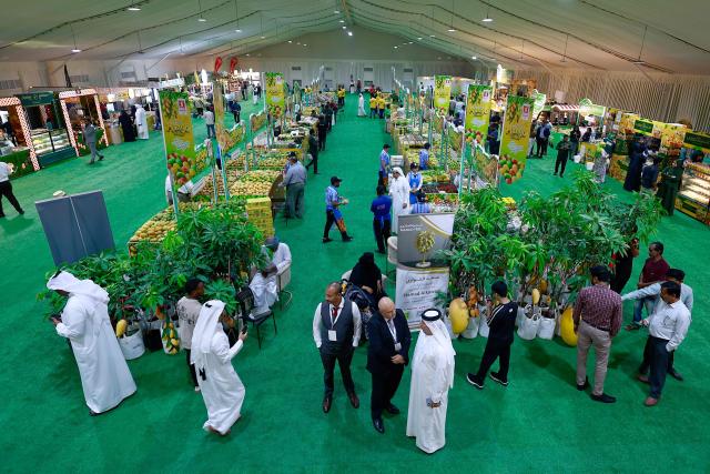 Visitors attend the 3rd edition of the Indian Mango Festival (Hamba Exhibition) at Souq Waqif in Doha on June 18, 2026. (Photo by Karim JAAFAR / AFP)