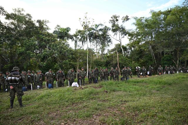 Members of the Coordinadora Nacional Ejercito Bolivariano (CNEB) guerrilla group take part in a disarmament ceremony agreed with the Colombian government in the municipality of Valle del Guamuez, Putumayo department, Colombia on June 18, 2026. Three days before a runoff vote set to determine the continuation of the country's first leftist government, this marks a first step for the rebels to settle in a special zone where they aim to consolidate agreements with the government. (Photo by Raul ARBOLEDA / AFP)