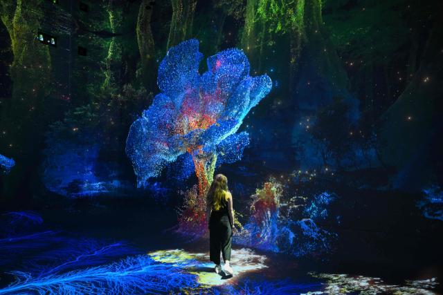 A person walks through immersive visualizations from the inaugural exhibition Machine Dreams: Rainforest are projected at DATALAND, the Museum of AI Arts, in Los Angeles, California on June 9, 2026. The squawks of macaws, the smell of wet earth after rain, and the swirl of colours will transport visitors to a Los Angeles museum to the heart of the Amazon rainforest -- or rather, an AI version of it. Data collected from those visitors  their movements, their heartbeats, and even the temperature of their skin -- will feed the computer that is creating the immersive display, using a network of sensors, including those on the wrists of ticket-holders. (Photo by Patrick T. Fallon / AFP)