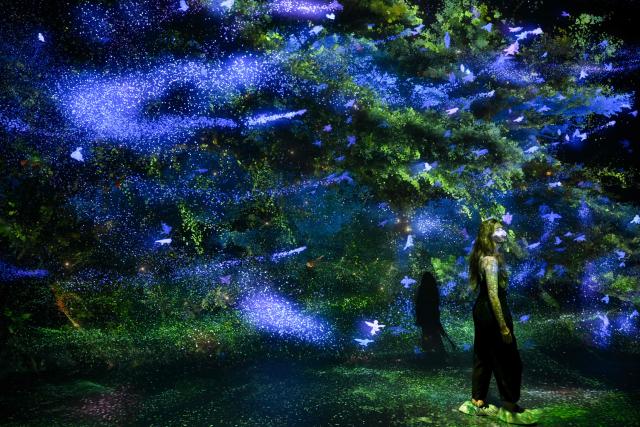 A person walks through immersive visualizations from the inaugural exhibition Machine Dreams: Rainforest are projected at DATALAND, the Museum of AI Arts, in Los Angeles, California on June 9, 2026. The squawks of macaws, the smell of wet earth after rain, and the swirl of colours will transport visitors to a Los Angeles museum to the heart of the Amazon rainforest -- or rather, an AI version of it. Data collected from those visitors  their movements, their heartbeats, and even the temperature of their skin -- will feed the computer that is creating the immersive display, using a network of sensors, including those on the wrists of ticket-holders. (Photo by Patrick T. Fallon / AFP)