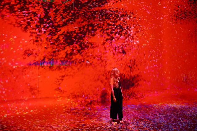 A person walks through immersive visualizations from the inaugural exhibition Machine Dreams: Rainforest are projected at DATALAND, the Museum of AI Arts, in Los Angeles, California on June 9, 2026. The squawks of macaws, the smell of wet earth after rain, and the swirl of colours will transport visitors to a Los Angeles museum to the heart of the Amazon rainforest -- or rather, an AI version of it. Data collected from those visitors  their movements, their heartbeats, and even the temperature of their skin -- will feed the computer that is creating the immersive display, using a network of sensors, including those on the wrists of ticket-holders. (Photo by Patrick T. Fallon / AFP)