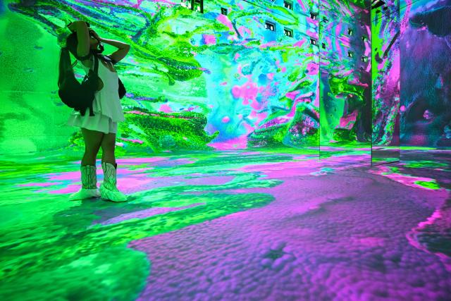 A person photographs immersive visualizations from the inaugural exhibition Machine Dreams: Rainforest are projected at DATALAND, the Museum of AI Arts, in Los Angeles, California on June 9, 2026. The squawks of macaws, the smell of wet earth after rain, and the swirl of colours will transport visitors to a Los Angeles museum to the heart of the Amazon rainforest -- or rather, an AI version of it. Data collected from those visitors  their movements, their heartbeats, and even the temperature of their skin -- will feed the computer that is creating the immersive display, using a network of sensors, including those on the wrists of ticket-holders. (Photo by Patrick T. Fallon / AFP)