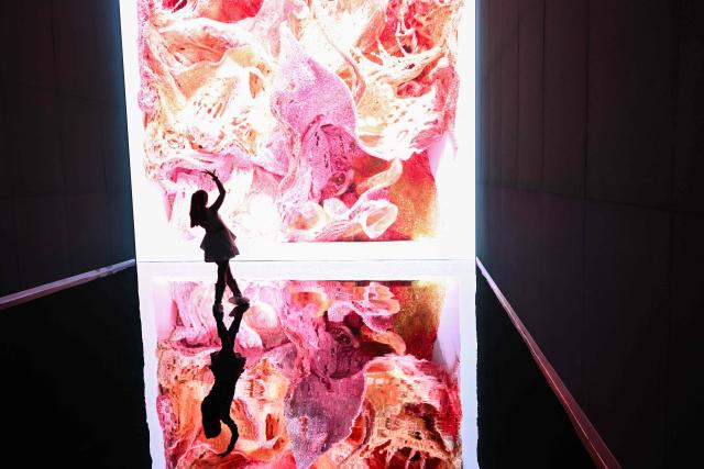 Brittany Quidang poses in front of immersive visualizations from the inaugural exhibition Machine Dreams: Rainforest are projected at DATALAND, the Museum of AI Arts, in Los Angeles, California on June 9, 2026. The squawks of macaws, the smell of wet earth after rain, and the swirl of colours will transport visitors to a Los Angeles museum to the heart of the Amazon rainforest -- or rather, an AI version of it. Data collected from those visitors  their movements, their heartbeats, and even the temperature of their skin -- will feed the computer that is creating the immersive display, using a network of sensors, including those on the wrists of ticket-holders. (Photo by Patrick T. Fallon / AFP)