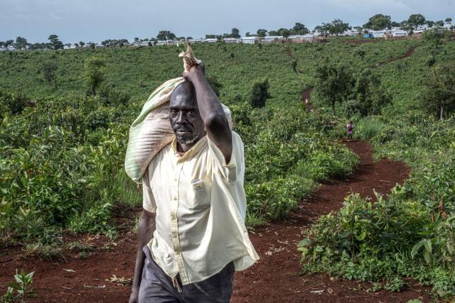 A Sudanese refugee man walks up a hill overlooking the Ura Refugee Site in Asosa Zone, Benishangul-Gumuz region, Ethiopia, on June 19, 2026. (Photo by Marco Simoncelli / AFP)