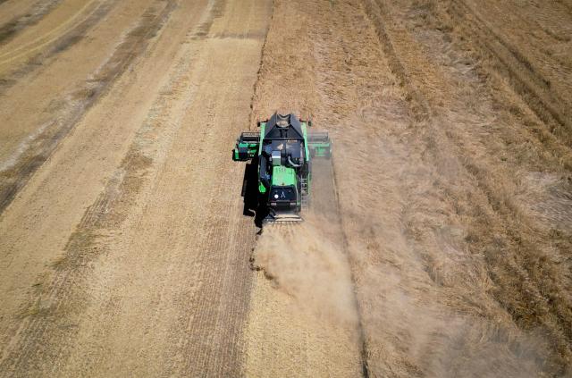 A combine harvester cuts wheat in a field near Manastirea village, southern Romania, on June 19, 2026. Romanian farmers have been forced to start the annual grain harvest weeks earlier than usual due to an intense early-summer heatwave and prolonged drought conditions driven by climate change, threatening crop yields across the region. (Photo by Daniel MIHAILESCU / AFP)