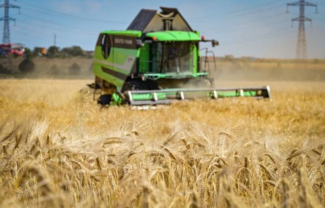 A combine harvester cuts wheat in a field near Manastirea village, southern Romania, on June 19, 2026. Romanian farmers have been forced to start the annual grain harvest weeks earlier than usual due to an intense early-summer heatwave and prolonged drought conditions driven by climate change, threatening crop yields across the region. (Photo by Daniel MIHAILESCU / AFP)