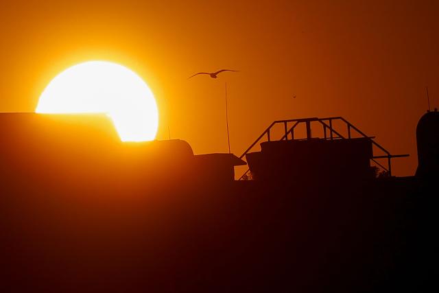 A bird flies past as the sun sets behind the rooftops in Berlin on June 19, 2026. (Photo by David GANNON / AFP)