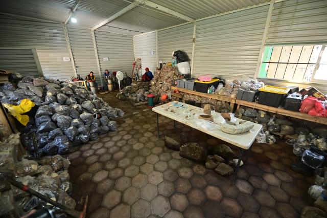 View of various objects—possibly in the Maya style—found at an archaeological site, which have been cataloged and are undergoing classification and documentation in Coatepec, Veracruz, Mexico on June 18, 2026. Mexican archaeologists have discovered the remains of a structure and a sculpture bearing features similar to those of the Maya culture and other characteristics described as “never before seen” in the eastern state of Veracruz. (Photo by Marco Antonio MARTINEZ / AFP)