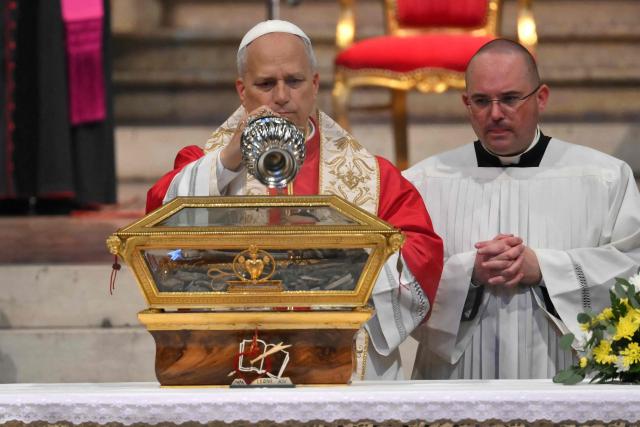 Pope Leo XIV is pictured during the veneration of the Relics of St Augustine at the Augustinian Basilica of St. Peter in the Golden Sky (Basilica di San Pietro in Ciel d’Oro) as part of a pastoral visit in Pavia on June 20, 2026. (Photo by Marco BERTORELLO / AFP)