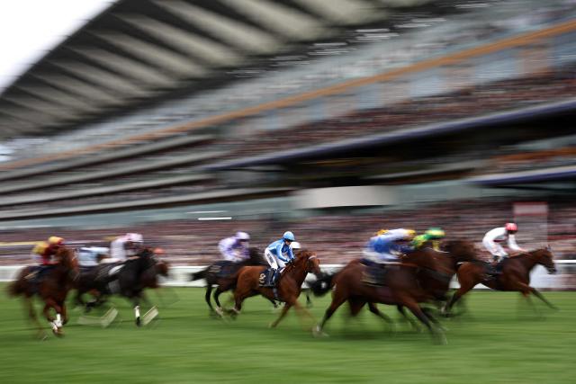 Runners and riders compete in the Queen Elizabeth II Jubilee Stakes horse race on the fifth day of the Royal Ascot horse racing meeting in Ascot, west of London, on June 20, 2026. (Photo by Henry Nicholls / AFP)