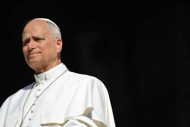 Pope Leo XIV stands at the entrance of the cathedral during a pastoral visit in Pavia on June 20, 2026. (Photo by Marco BERTORELLO / AFP)