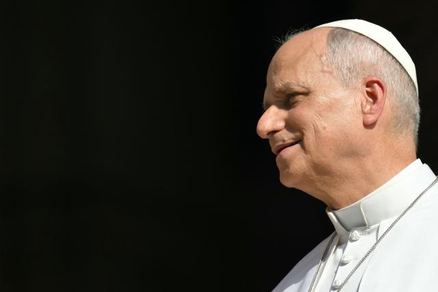 Pope Leo XIV stands at the entrance of the cathedral during a pastoral visit in Pavia on June 20, 2026. (Photo by Marco BERTORELLO / AFP)