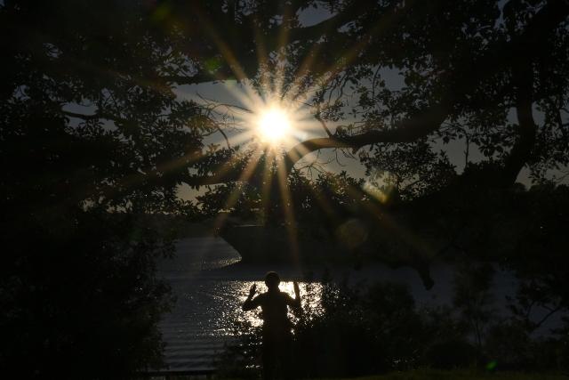 A woman practises yoga as the sun rises over Sydney Harbour on the winter solstice and International Day of Yoga on June 21, 2026, marking the shortest day of the year in the Southern Hemisphere. (Photo by Saeed KHAN / AFP)
