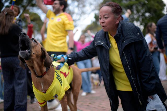 A supporter of Colombia's presidential candidate for the Defensores de la Patria movement, Abelardo de la Espriella, holds a dog wearing a Colombia jersey as people gather after the results of the presidential runoff election in Bogota, on June 21, 2026. A flamboyant US-backed lawyer who has never held public office narrowly won Colombia's presidential runoff on June 21, swinging the country hard to the right on a promise to wage war against drug-running guerrilla groups. With more than 99 percent of polling centers reporting, Abelardo de la Espriella had 49.67 percent of the vote, an unassailable lead over his rival, left-wing Senator Ivan Cepeda who trailed at 48.69 percent, according to official results. (Photo by Sebastian BARROS / AFP)