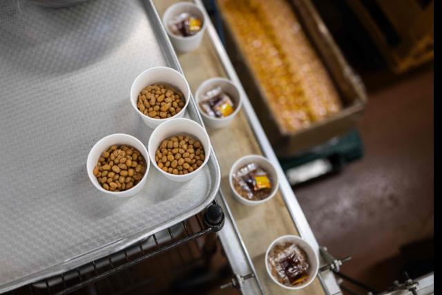 This photo taken on May 15, 2026 shows cups of natto awaiting to be sealed at the Kamakurayama Natto production facility in Kamakura, Kanagawa prefecture. The highly nutritious beans inoculated with beneficial bacteria remain a traditional Japanese breakfast staple, but their pungent aroma, viscous texture and yeasty taste divide even their homeland. Recent years have seen natto join a series of fermented foods, from kimchi to kombucha, that have surged in popularity worldwide as Americans in particular seek better digestive health following the Covid-19 pandemic. (Photo by Andrew CABALLERO-REYNOLDS / AFP) / To go with AFP story Japan-food-health-natto-lifestyle,FEATURE by Tomohiro Osaki and Sarah Lai