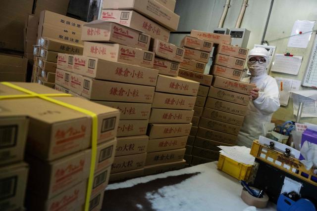 This photo taken on May 15, 2026 shows an employee sorting boxes of packed natto to be shipped at the Kamakurayama Natto production facility in Kamakura, Kanagawa prefecture. The highly nutritious beans inoculated with beneficial bacteria remain a traditional Japanese breakfast staple, but their pungent aroma, viscous texture and yeasty taste divide even their homeland. Recent years have seen natto join a series of fermented foods, from kimchi to kombucha, that have surged in popularity worldwide as Americans in particular seek better digestive health following the Covid-19 pandemic. (Photo by Andrew CABALLERO-REYNOLDS / AFP) / To go with AFP story Japan-food-health-natto-lifestyle,FEATURE by Tomohiro Osaki and Sarah Lai