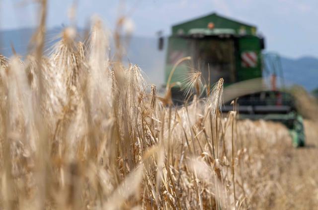 A farmer operates his combine as he harvests crop at the fields near the village of Muenchendorf, south of Austrian capital of Vienna, Austria, on June 22, 2026. Severe drought and a punishing early-summer heatwave are forcing farmers across Europe to begin the annual grain and cereal harvest weeks earlier than usual. (Photo by Joe Klamar / AFP)