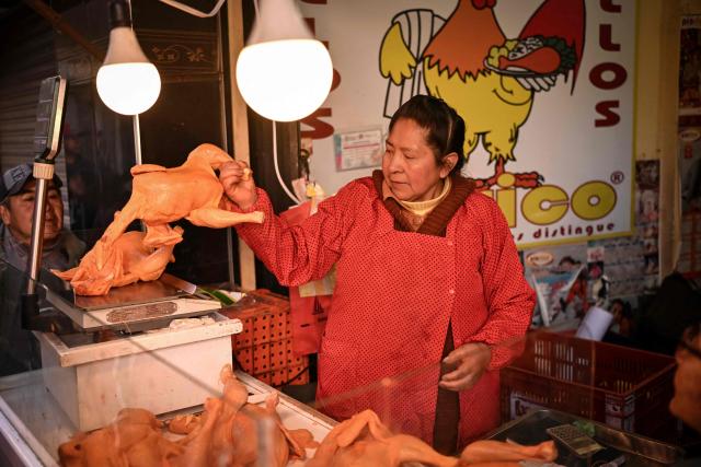 A woman weighs a chicken to sell it at a commercial establishment in downtown La Paz, Bolivia, on June 22, 2026. Bolivian police driving bulldozers cleared highways on June 21, 2026 and fuel trucks rolled into La Paz after the president declared a state of emergency to remove anti-government roadblocks that had paralyzed the Andean nation. (Photo by MARTIN BERNETTI / AFP)