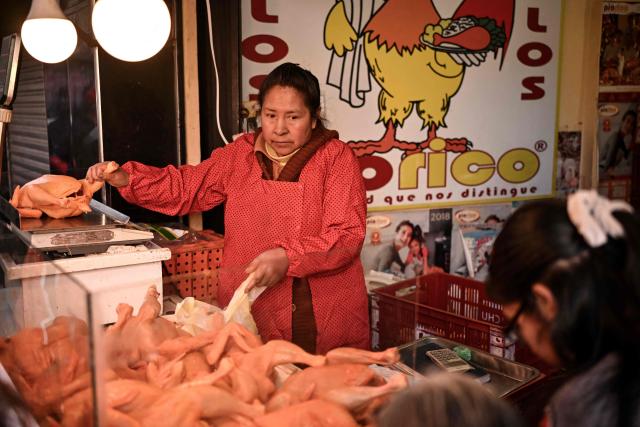 A woman weighs a chicken to sell it at a commercial establishment in downtown La Paz, Bolivia, on June 22, 2026. Bolivian police driving bulldozers cleared highways on June 21, 2026 and fuel trucks rolled into La Paz after the president declared a state of emergency to remove anti-government roadblocks that had paralyzed the Andean nation. (Photo by MARTIN BERNETTI / AFP)